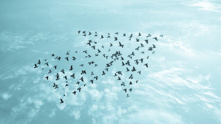7 Ways To Identify Emerging Managers With Leadership Training Program