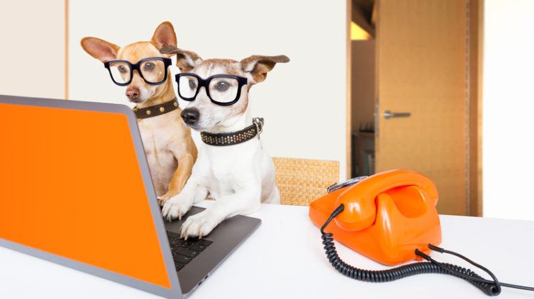How To Measure Training Effectiveness A Learning Analytics Guide For CFOs