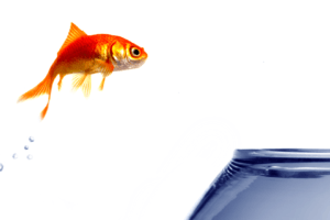 Implementing Lean Principles And Continuous Improvement In Your Organization