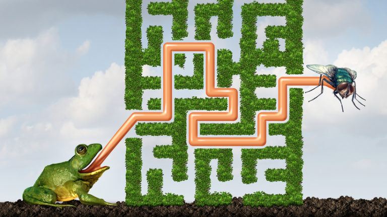Adaptive Learning Demystified - An explanation of adaptive learning