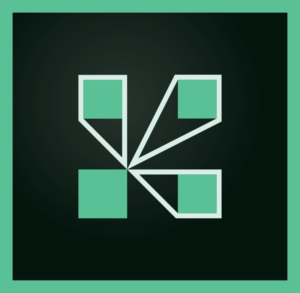 Adobe Connect logo