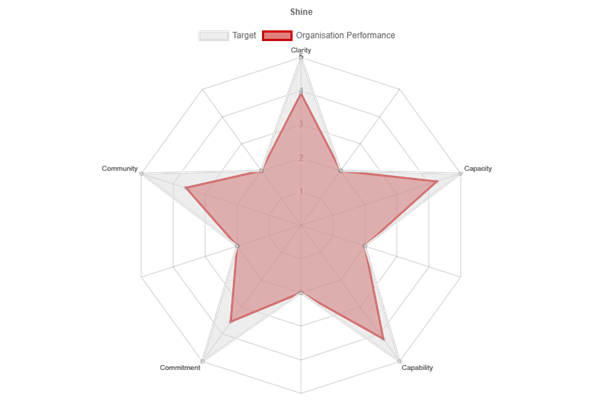 Shine - Can We Predict A Company's Future Performance?