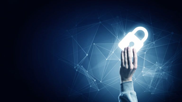 Data Security In Online Learning