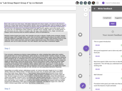 Screenshot of Assignment Review by FeedbackFruits