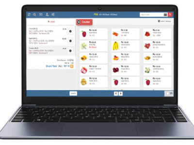 Screenshot of FI-ES Systems Pvt Ltd