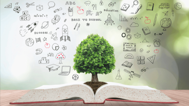 Learning Ecosystem: Past, Present, And Future