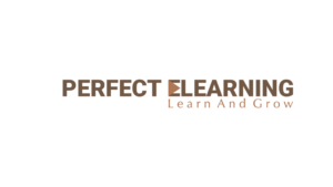 Perfect E Learning Private Limited logo
