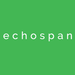 EchoSpan 360 Degree Feedback logo