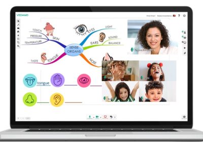 Screenshot of VEDAMO Virtual Classroom