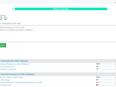 Screenshot of FlowyTeam