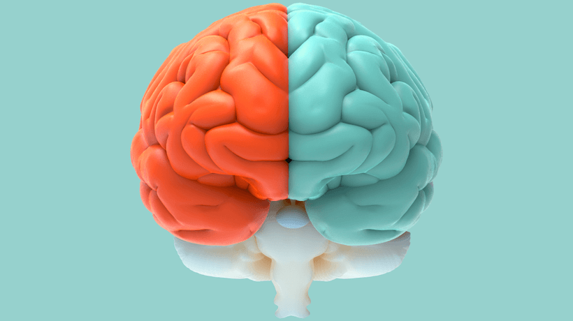 What Is Cognitive Load Theory?