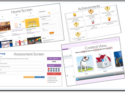 Screenshot of K-nest LMS