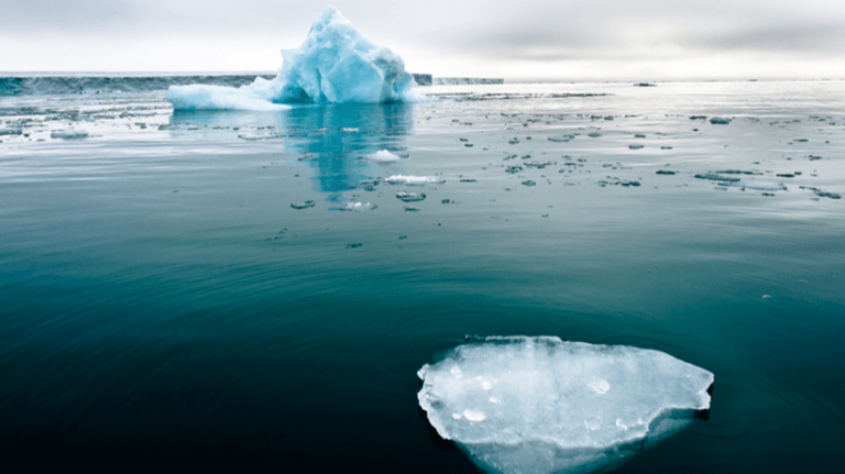 Learning From A Pandemic To Solve A Climate Crisis: Remote Work