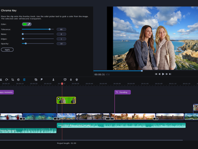 Screenshot of Movavi