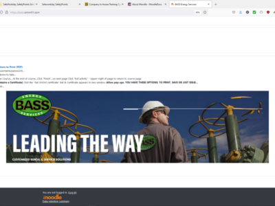 Screenshot of SafeWorkday SafetyPoints SAAS+Content