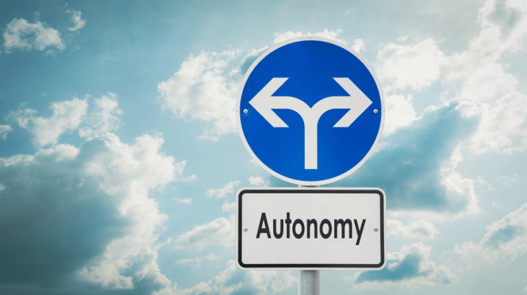 Learner Autonomy: Giving Control Over Learning