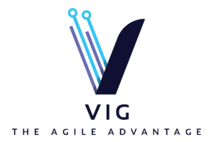 Vig logo