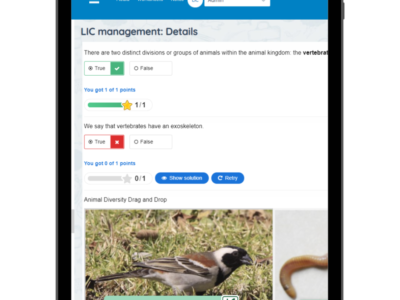 Screenshot of Lightbulb VLE