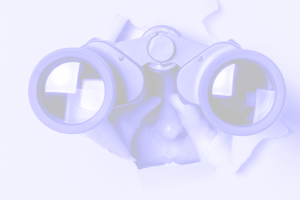 Bring Your Vision To Life: An Expert Approach To Building An Online Course