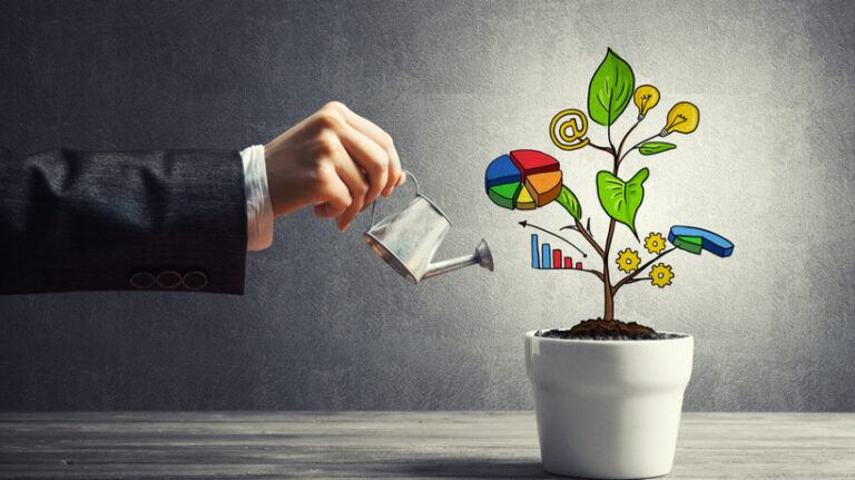 Growing From A Single Course To An Academy Feedback Loops And Beyond