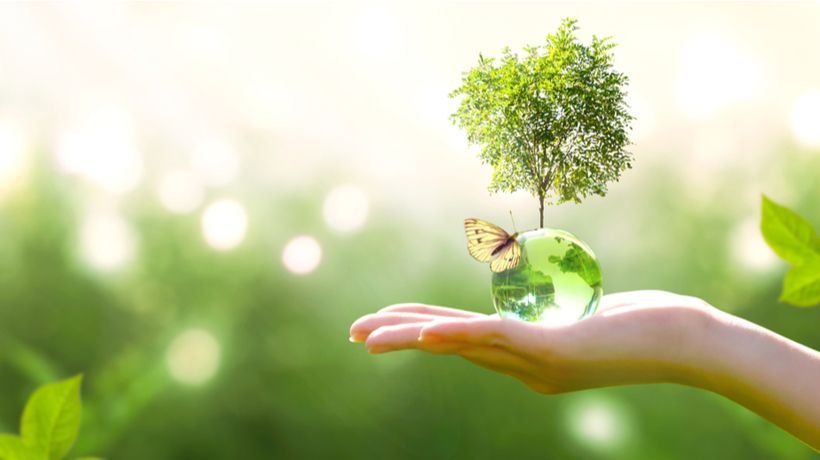Celebrating The International Mother Earth Day: 4 Ways eLearning Is Helping To Save The Environment