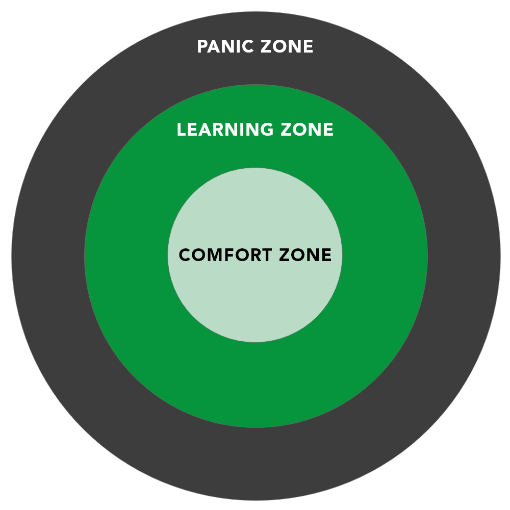 Depiction of the Learning Zone model.
