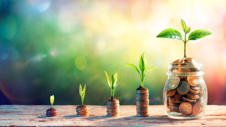 Why You Need To Invest In Authoring Tool Directories