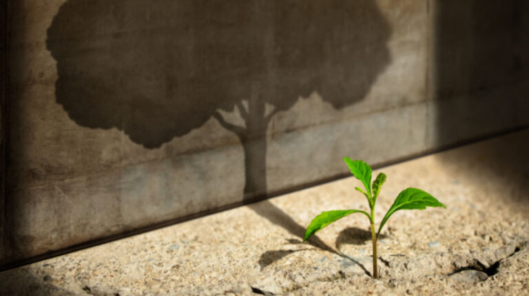 eBook Release: 5 Strategic Imperatives For High-Growth Learning Businesses