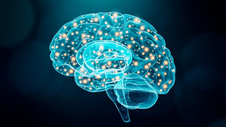Neuroscience And Instructional Design