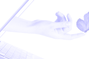 Critical Strategies: Building the Learning Organization of the Future