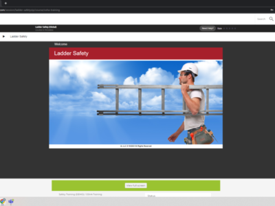 Screenshot of Ally LMS