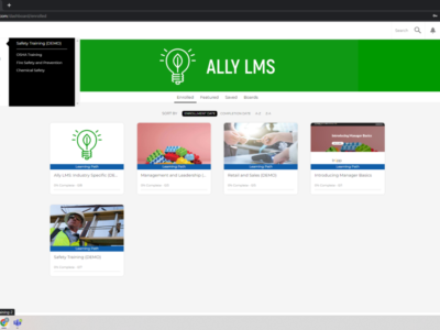 Screenshot of Ally LMS