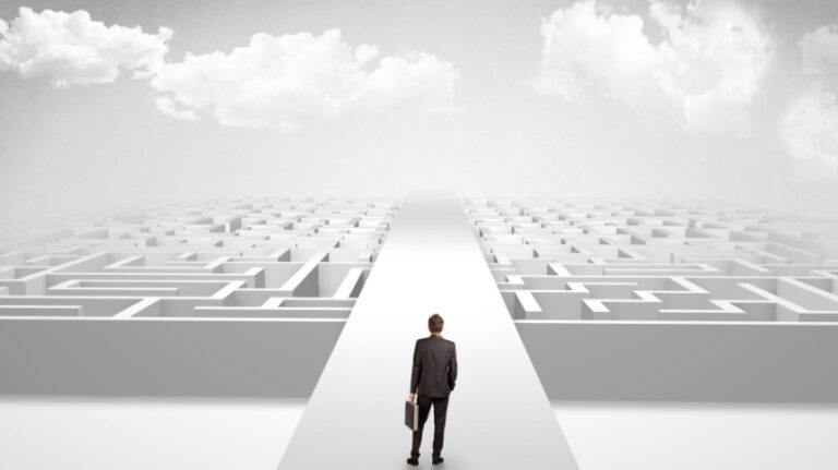 Curating Winning Learning Pathways