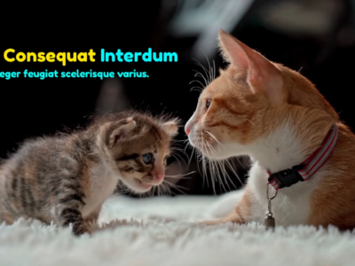 Screenshot of hiCreo