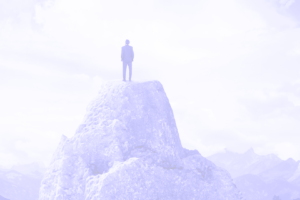 The Learning Maturity Assessment Workshop