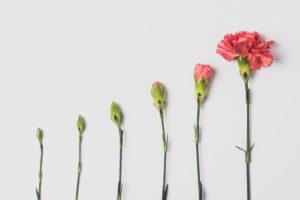 Invest In Your Employees With An Upskilling Program