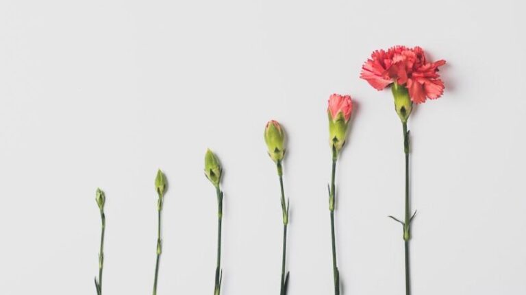 Invest In Your Employees With An Upskilling Program