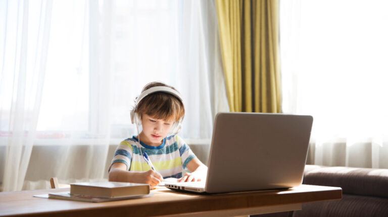 Online Education Schooling In The Aftermath Of COVID-19