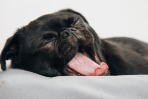 Boring, Generic, Low-Impact: Here's What 3K People Really Think About How We Train New Managers