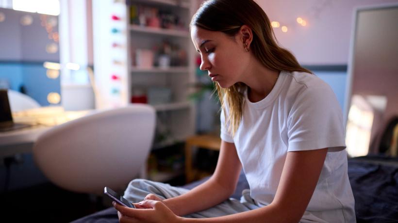 Cyberbullying: Are eLearning Students Susceptible?