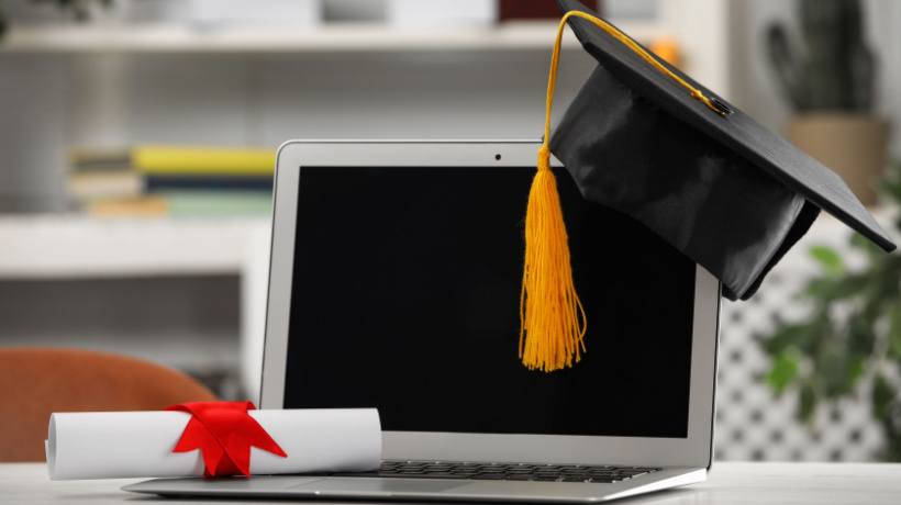 Graduate Vs. Undergraduate: Navigating The Differences In Online Education