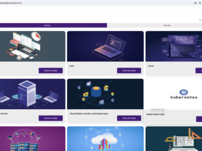 Screenshot of gnosislabs