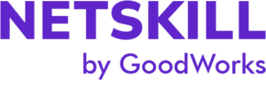 NetSkill logo