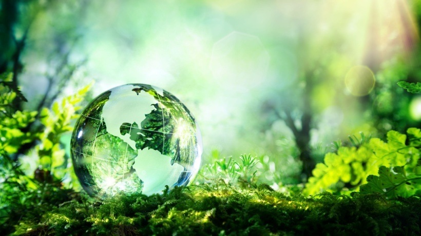 The Environmental Advantages Of Adopting eLearning Models