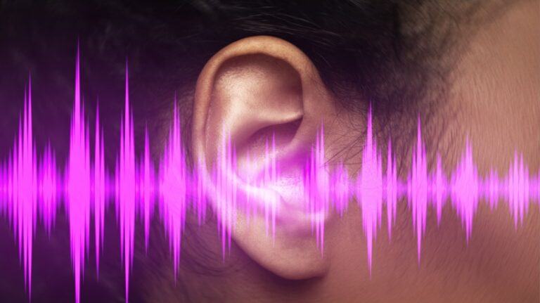 The Science Of Sound: How Voice Impacts Cognitive Retention