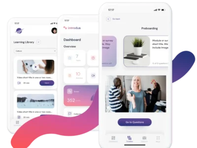 Screenshot of introdus