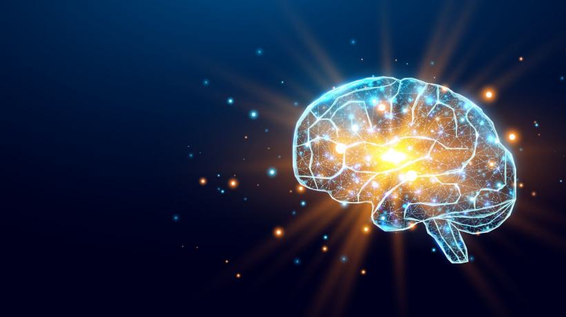 Game-Based Learning Isn't Just Fun—It's Neurologically Aligned