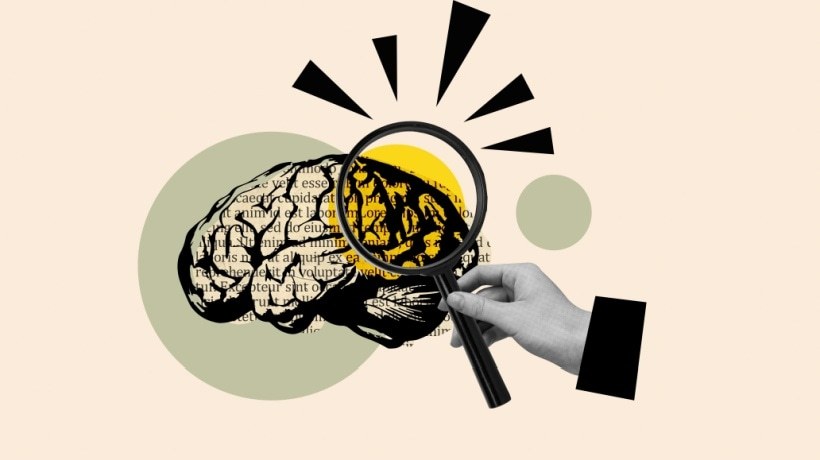 A base neural da aprendizagem: os circuitos de narrativa do cérebro