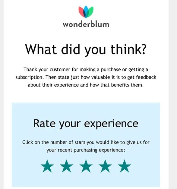Email customer review request