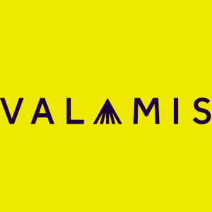 Valamis Learning Solution logo